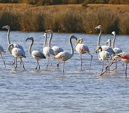 Salgados Mar Διαμέρισμα